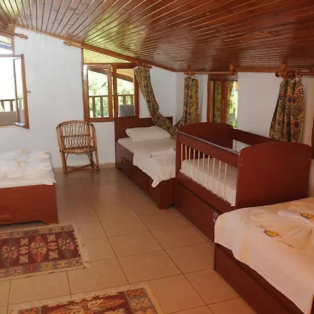 Telemenin Evi Guest house *