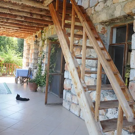 Telemenin Evi
