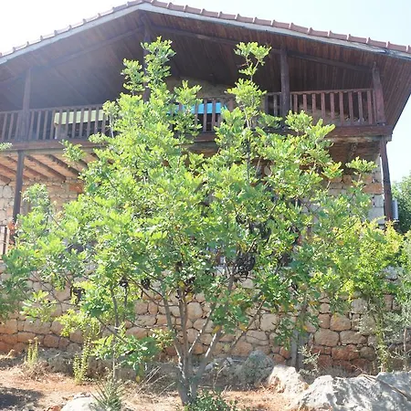 Telemenin Evi *